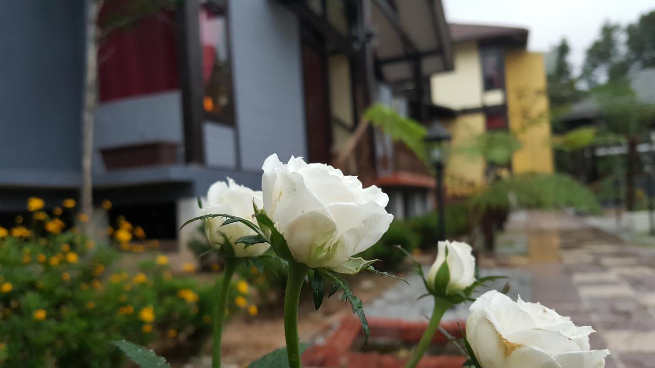 Casa Loma Cameron Highlands Βίλα Εξωτερικό φωτογραφία