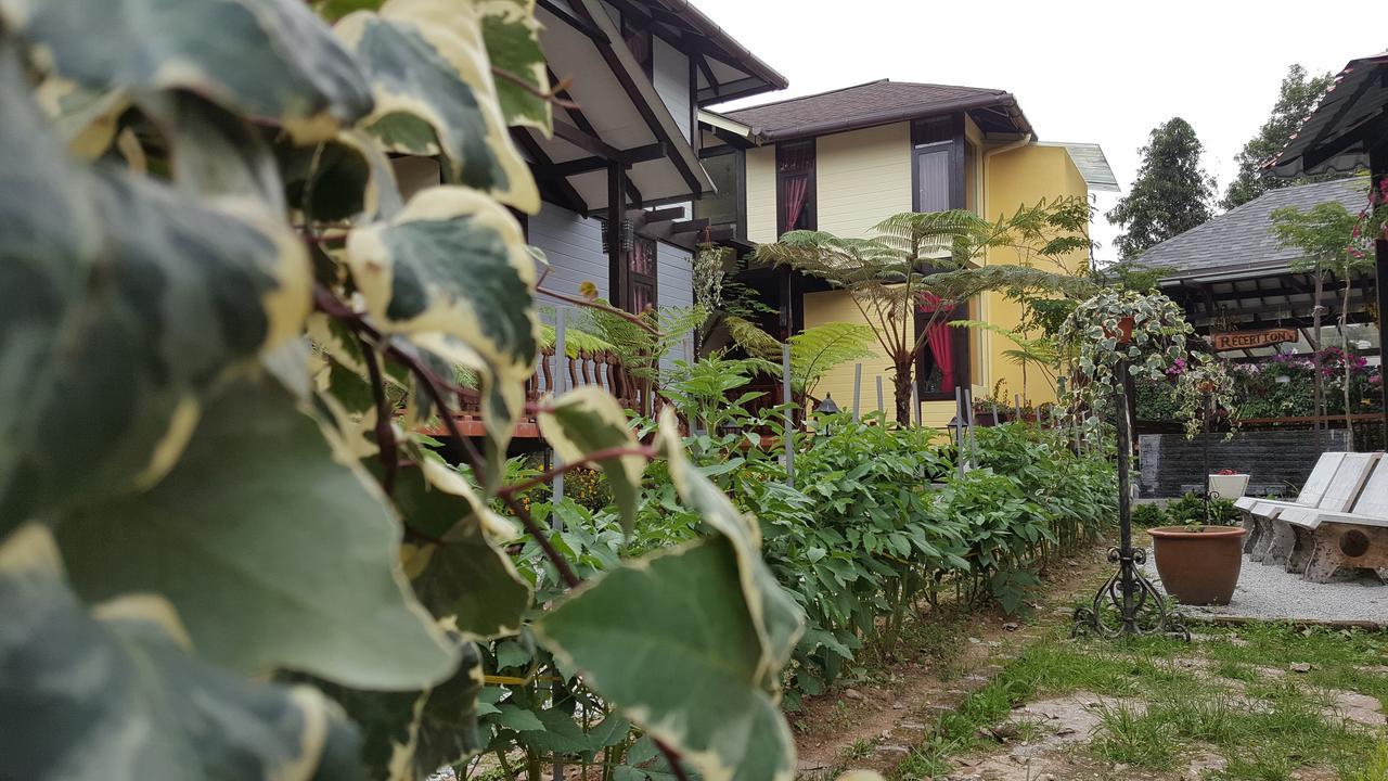 Casa Loma Cameron Highlands Βίλα Εξωτερικό φωτογραφία